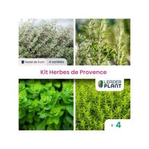 Leaderplant.com - Kit Aromatiques Herbes de Provence - 4 variétés - Lot de 4 godets