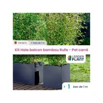 Kit Bambou Rufa 5 l avec bac