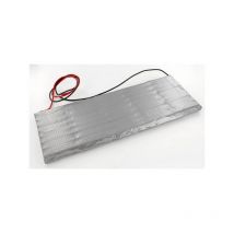Exalium Premium - Kit batterie 48V 4Ah secateur Infaco Electrocoup F3000 /02