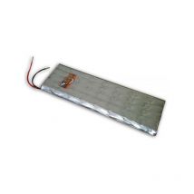 Exalium Premium - Kit battery 48V pour sécateur Infaco Electrocoup F3005 / R4005
