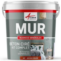 Arcane Industries - Béton ciré mur couleur enduit décoratif en kit gris blanc beige - 5 m² - Satinée Gazelle Gris Rose