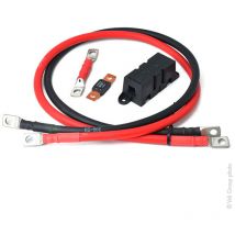 EM - Kit Cable 1M pour convertisseurs cs+