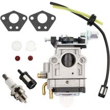 Carburetor kit for 52cc, 49cc and 43cc brushcutters. Includes gasket, hose, spark plug and fuel filter. Carburetor for brushcutters.