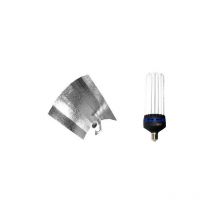 Kit lampe cfl 250W croissance 1