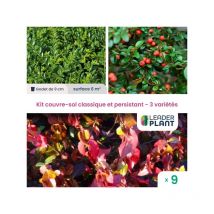 Leaderplant.com - Kit couvre sols classiques et persistants - 3 variétés - Lot de 9 godets