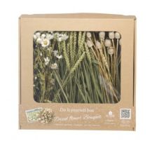 Kit à composer - Bouquet de fleurs séchées - Blanc