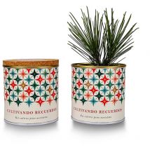 Kit cultivo pino navideño Paisaje Estrellado Garden Pocket