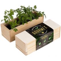 Kit d'auto-culture complet Culinaire Gourmet