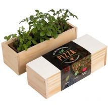 Kit d'auto-culture complet Culinaire Pizza