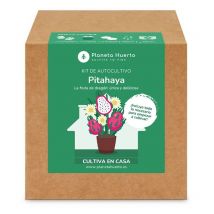 Planeta Huerto - Kit de Autocultivo Pitahaya Fruta Dragón – Cultiva en Casa esta Exótica Fruta Tropical