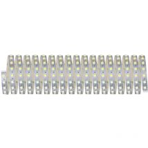 Paulmann Licht - Paulmann MaxLED 70565 Ruban led avec connecteur mâle 24 v 10 m blanc chaud, blanc neutre, blanc lumière du jour 1 pc(s)