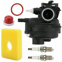 Aougo - Kit de carburateur de remplacement 799583 - 593261 595656 591979 591160 - Convient pour moteur de tondeuse à gazon 300E 450E 500E 550EX 500