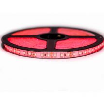 Kit de cinta profesional 3528 - 120 leds/m - 5 metros rojo anti-salpicaduras (IP65) Longitud: 5 metros - Transformador: Fuente de alimentación