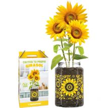 Kit de cultivo interior Girasol Garden Pocket