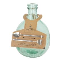 Kit De Démarrage Pour Plante En Terrarium En Verre Et Inox - 5l - D 21,2 X H 33,1 Cm - Livraison Gratuite
