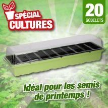 Kit de germination 53x14,5x8cm