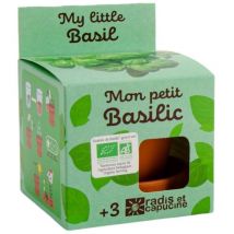 Kit plantation - Basilic bio - 8cm