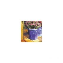 Gardeneas - kit de microriego 20