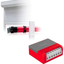 Thomson - Kit de motorisation 6Nm pour volets roulants et stores 1 motorisation de volet roulant + 1 module connecté pour volet