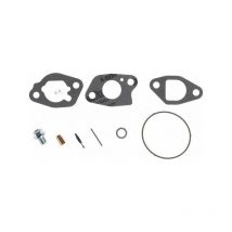 Kit de révision du carburateur briggs et stratton 591770
