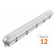 Silamp - Kit de Réglette led étanche + 1 Tube Néon led 150cm T8 22W (Pack de 12) - Blanc Froid 6000K - 8000K
