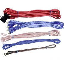 Sinustec - BCS-600 Kit di collegamento amplificatore HiFi per auto 6 mm²