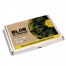 Naturalys - Kit élevage blob pour enfants