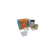 Kit entretien 1000 heures pour Kubota modèles g23, g23 ii, g23-3, g23, comprenant filtre à huile, filtre à gasoil, filtre à air,
