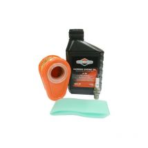 Kit entretien moteur Briggs et Stratton Series 700, 750, dov