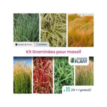 Kit de Graminées pour massif - 7 variétés - Lot de 11 plants en godet