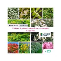 Leaderplant.com - Kit Haie 4 Saisons Exposition Ombragée - 10 variétés - Lot de 23 godets