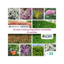 Leaderplant.com - Kit Haie 4 Saisons Exposition Ensoleillée - 10 variétés - Lot de 23 godets