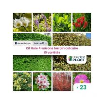 Leaderplant.com - Kit Haie 4 Saisons Terrain Calcaire - 10 variétés - Lot de 23 godets