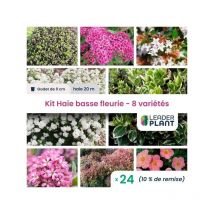 Leaderplant.com - Kit Haie basse fleurie - hauteur 1m - 8 variétés - Lot de 24 godets