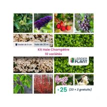 Leaderplant.com - Kit Haie champêtre - 10 variétés - Lot de 25 godets