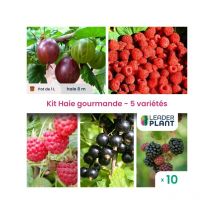 Leaderplant.com - Kit Haie gourmande 5 variétés - Lot de 10 pots de 1 litre