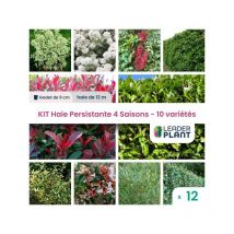 Leaderplant.com - kit Haie Persistante 4 saisons - 10 variétés - Lot de 12 godets