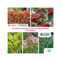 Leaderplant.com - kit Haie Persistante et Contemporaine - 5 variétés - Lot de 10 pots de 4 l