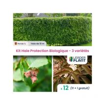 Leaderplant.com - Kit Haie Protection Biologique - 3 variétés - Lot de 12 pots de 1 l