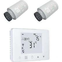 Homcloud - Kit : Cronotermostato Digital Wi-Fi + 2 Válvulas Termostáticas