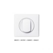 Legrand - Kit inter va-et-vient 10A mural encastré complet avec support, plaque et enjoliveur blanc celiane
