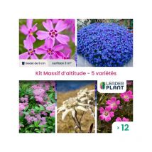 Kit massif d'altitude - 5 variétés - 12 godets