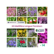 Leaderplant.com - Kit Mellifère Longue Floraison - 14 variétés en godet