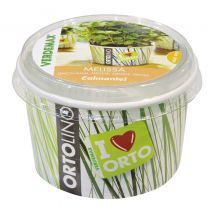 Kit ortolino melissa Verdemax orto semi in cucina fai da te portatile