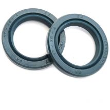 STI - Paraoli 17x25x4 coppia alta scorrevolezza in Viton per Blata TecnoX (coppia)