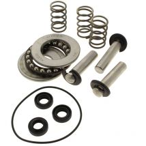 Mac Allister - Kit pistons + joints + roulements - nettoyeur haute pression