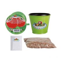 Kit de plantation de tomates : commencez votre jardinage