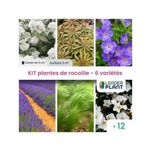 Leaderplant.com - Kit plantes de rocaille - 6 variétés - Lot de 6 godets