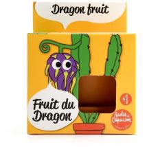 Pot avec coupelle - Fruit du dragon - 8 cm