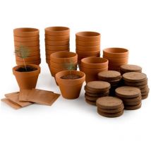 Kit pour une activité de fin d'année : 24 Sapins de Noël